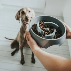 Hunter Ciotola Anti-Ingozzamento Atlanta In Melamina Grigia Per Cani -Vendite Alimenti per cani 5779 1