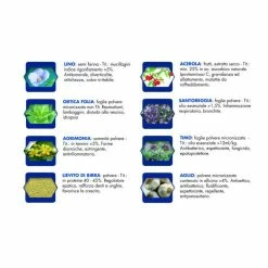 Vet Line Primi Mesi Maiale Per Cuccioli Monoproteico VetLine -Vendite Alimenti per cani 6200 1