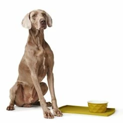 Hunter Sottociotole Eiby In Silicone Giallo 48x30cm -Vendite Alimenti per cani 6566