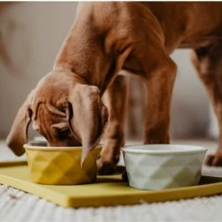 Hunter Sottociotole Eiby In Silicone Giallo 48x30cm -Vendite Alimenti per cani 6567