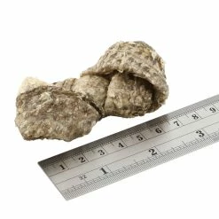 Fish4Dogs Dental Sea Jerky Fish Knots Premi Snack Per Cani 500g -Vendite Alimenti per cani 8369