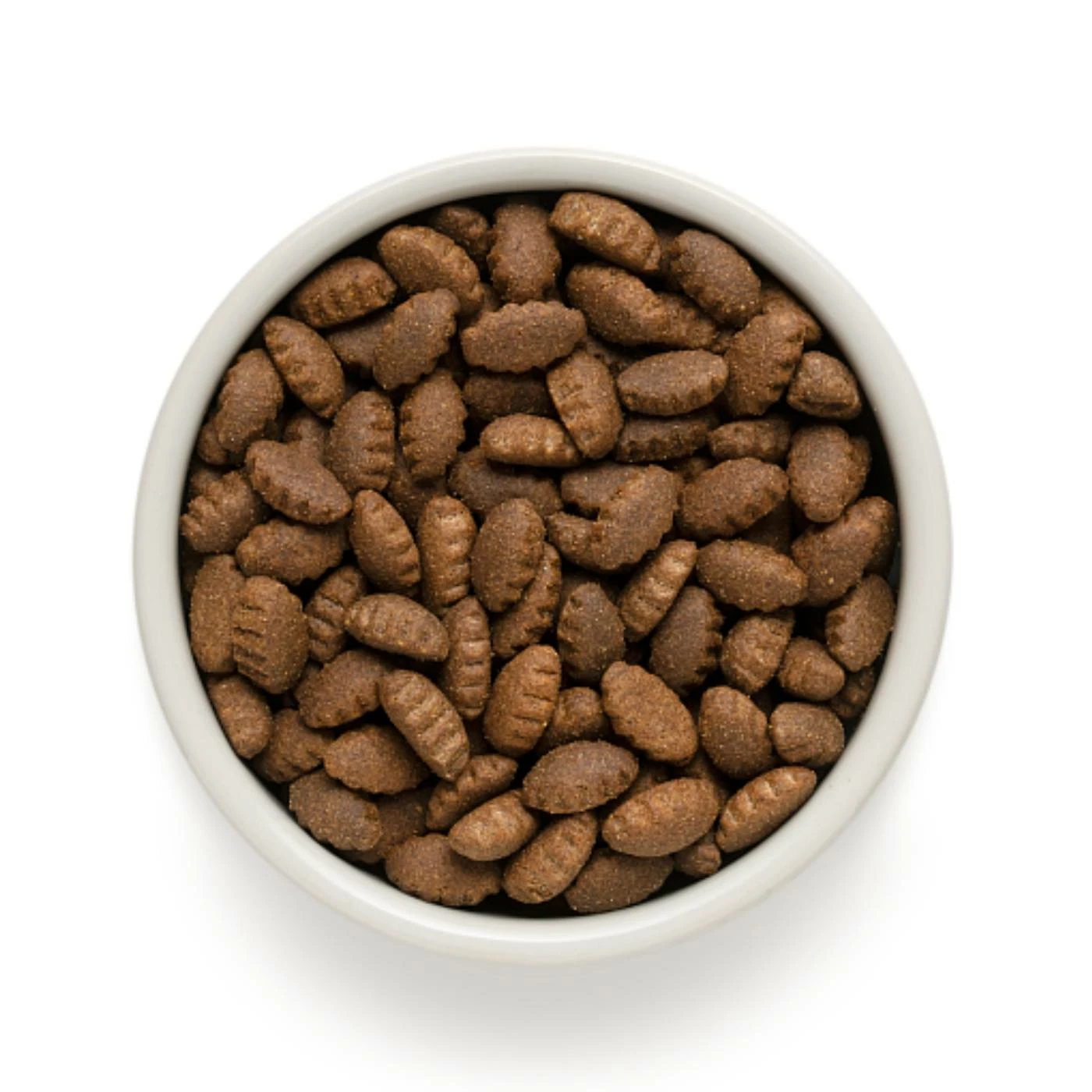 Grandorf Adult Agnello E Tacchino Maxi Large Breed Per Cani Adulti Di Taglia Grande 2 Grandorf Adult Agnello E Tacchino Maxi Large Breed Per Cani Adulti Di Taglia Grande - immagine 2