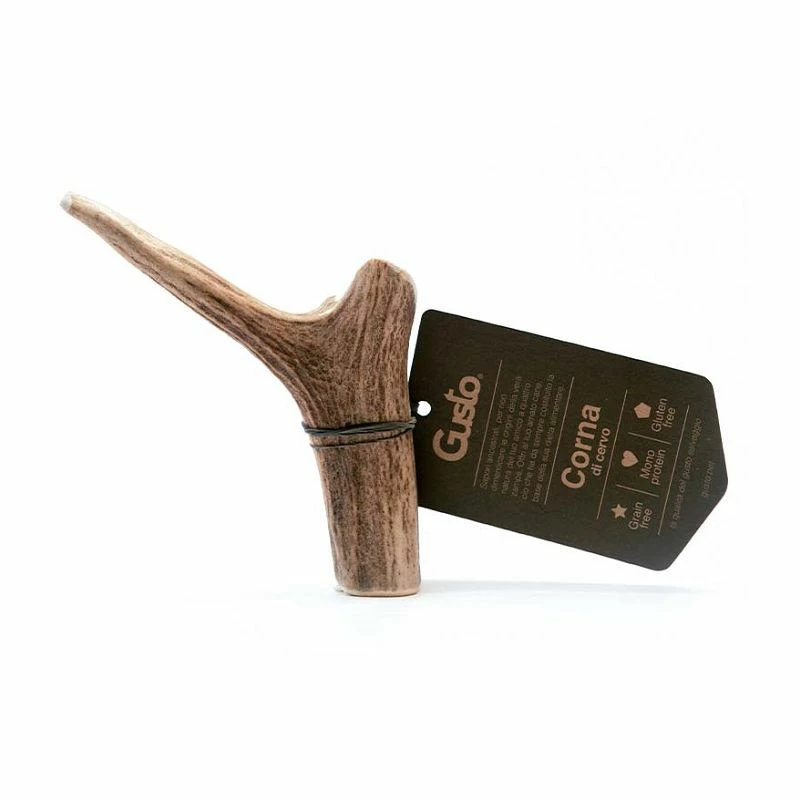 Gusto Pet Food Corno Di Cervo Intero XL - 200/299gr Snack Cane 1 Gusto Pet Food Corno Di Cervo Intero XL - 200/299gr Snack Cane